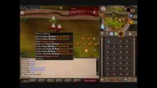 runescape pking d bow twins pking in bounty world 40 cb 60 range