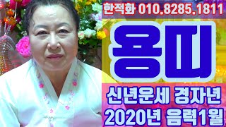 용띠운세 2020년 음력1월 신년운세 경자년 - 일산 용한 무당 점집 추천 후기 한적화