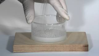 The Endothermic Reaction between Barium Hydroxide and Ammonium Thiocyanate