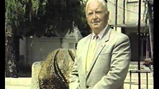 Goga Zafiroski ZAFIRO - Bolno lezi maloj mome