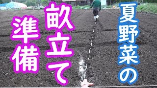 19/4/19  ナス元肥散布と圃場全体の様子畝立て準備#653