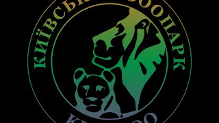 №1  castration green monkey   (кастрация зеленой мартышки)