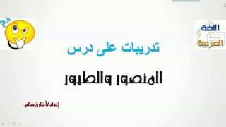 تدريبات على درس المنصور والطيور - لغة عربية - للصف السادس الإبتدائي - موقع نفهم - موقع نفهم