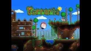 The expert run! | Terraria