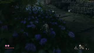 Defeating Shinobi Hunter Enshin of Misen