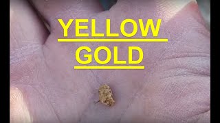 Arizona Gold Detecting - Nice nugget!