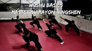 Wushu Basics Master Shimayon Ningshen
