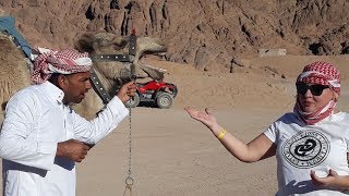 Египет Шарм эль Шейх | сафари тур в пустыне | багги на прокат | бездорожье в пустыне