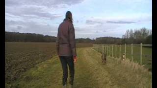 Trying scent training