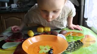 Киндерсюрприз игрушка Косатка (Kindersyurpriz toy Orca )
