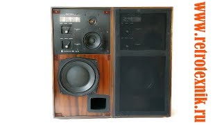 Акустическая система Radiotehnika "35АС-1" СССР 1977 г.