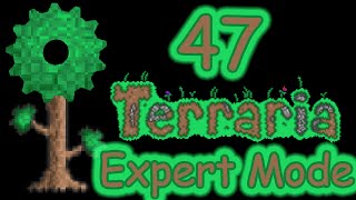 Terraria - 47 - Welcome to the Jungle