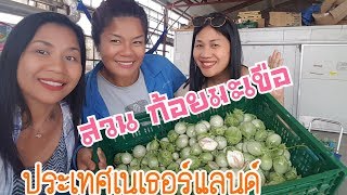 บุก! "สวนสุรีรัตน์(ก้อย)มะเขือ"ที่เนเธอร์แลนด์ ตอนที่1วิธีเลือกมะเขือแก่อ่อน?by  Eidsy Easy