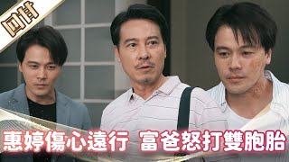 《好戲回甘》市井豪門 EP193 惠婷傷心遠行 富爸怒打雙胞胎