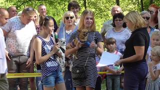 Выставка  домашних любимцев. День семьи 2017 в г. Рубежное