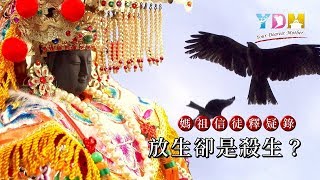 放生卻是殺生？【媽祖信徒釋疑錄】