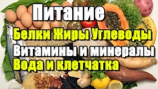 ЦИКЛ О ПИТАНИИ.  Белки. Жиры. Углеводы. Минералы и витамины. Вода и пищевые волокна.