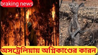 অস্ট্রেলিয়ার অগ্নিকাণ্ডের কারন। why Australian forest under fire। ক্যাঙ্গারু বিনাশ ঘটলো। অদ্ভুতুড়ে