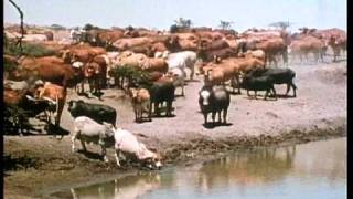 Wildlife Rancher