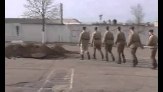 д ф Дисбат в Беларуси