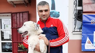 Снежа в клинике!