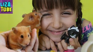 ЛОЛ ХОМЯК? Лиза и хомячок Ириска открывают Шар с СЮРПРИЗОМ LOL Pets \ LizaTube