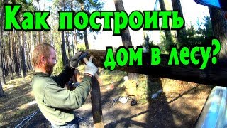 Как построить дом в лесу?