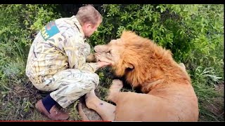 Лев Гек ПРОСЫПАЕТСЯ  ПОСЛЕ  ОПЕРАЦИИ !!!