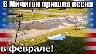 1395. В Мичиган пришла весна в феврале! Начинаем уборку территории
