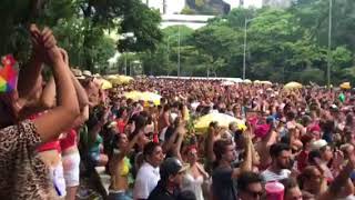 Carnaval de São Paulo 2018 país tropical rua 23 de maio