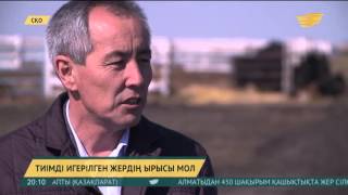 Бос жатқан жерді кәдеге жарату керек