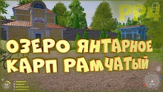 Озеро Янтарное. Карп рамчатый у рынка • Русская рыбапка 4 • Донная оснастка
