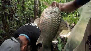 Traditional: Berburu Ikan di hutan Rawa-rawa
