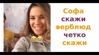 #21 СОФА СКАЖИ ВЕРБЛЮД СКАЖИ ЧЕТКО. **ЛУЧШИЕ ПРИКОЛЫ**. **СМЕХ ДО СЛЕЗ**
