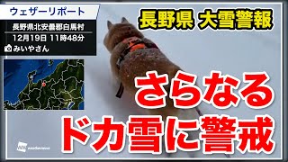 長野県に大雪警報／さらなるドカ雪に警戒