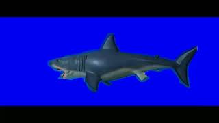 'Jaws' Shark Attack and Girl Growth