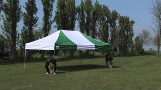 3m x 4.5m Gala Shade Pro-MX Commercial Pop Up Gazebo