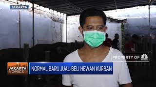 Normal Baru Jual-Beli Hewan Kurban