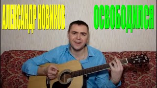 Александр Новиков - Освободился