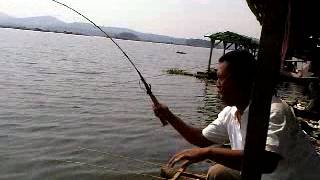 sindikat moro badot 5