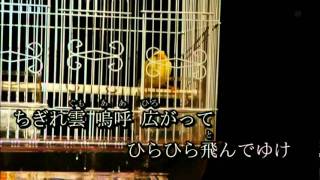 SKE48 高柳明音 「あかね空」