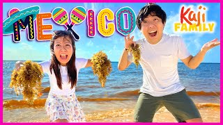 Trip to Mexico Beach Fun! No kids allowed!