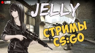 ?Стрим по CS GO от Jelly// Девушка сильвер //ИГРА НА НИЗКОМ FPS
