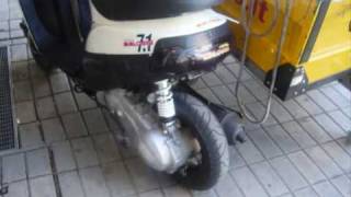zip sp domina!!! zip elaborati!!! delle vere belve...