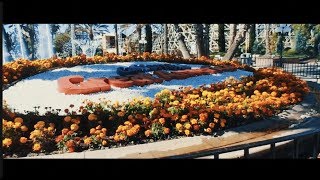 California's Great America - a Cinematic Music Video