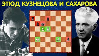 ШЕДЕВР ШАХМАТНОГО ИСКУССТВА!