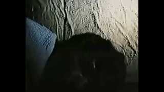 Гонгофер (мистический фильм) Mystery from Russia