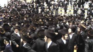 Bobover Wedding In Floyd Bennett Field 2009 4/16 Watch in HD