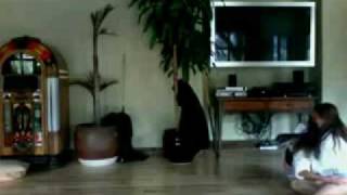 dos chicas bailan muy hot
