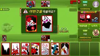 Go-Stop 피망 뉴맞고 - 영미와 함께 무조건 14배판